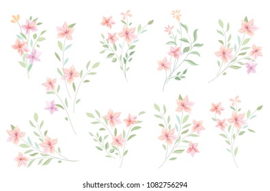 Floral bouquet design element set.  Flowers and leaves garden background. Summer nature decor