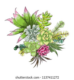 Floral bouquet design, garden pink red rose flower, branch green fern, exotic palm leaves, succulent, cactus. Watercolor imitation. Flowers made of real plants, completely unique. Vector.