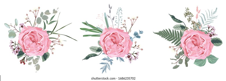 Floral bouquet design: garden pink  Rose flower, Eucalyptus branch greenery leaves berry. Wedding  invite card. Designer element set. White background.