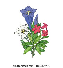 Floral bouquet with edelweiss, gentian and rhododendron. Montain wildflowers. Hand drawn sketch. Vector drawing isolated on white background.