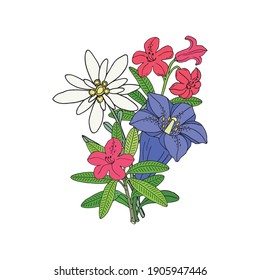 Floral bouquet with edelweiss, gentian and rhododendron. Montain wildflowers. Hand drawn sketch. Vector drawing isolated on white background.