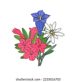 Floral bouquet with edelweiss, gentian and rhododendron. Montain wildflowers. Hand drawn sketch. Vector drawing isolated on white background.