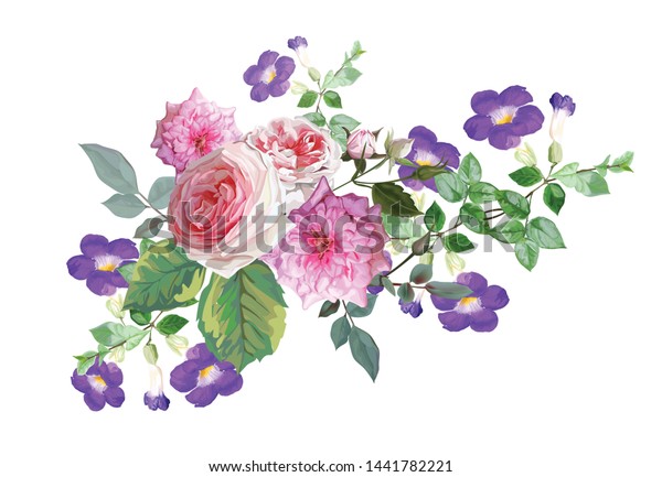 イギリスのバラとサンベルジア エレクタのベクターイラストを持つ花束 のベクター画像素材 ロイヤリティフリー