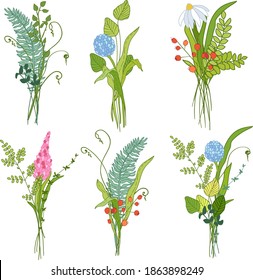 Floral bouquet, herbs and flowers arrangment, isolated on white. Vector illustration.