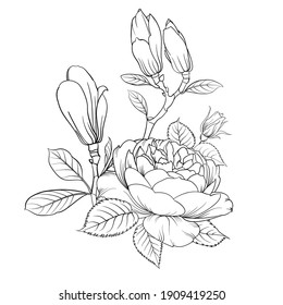 Floral bouquet on white background. Vector illustration