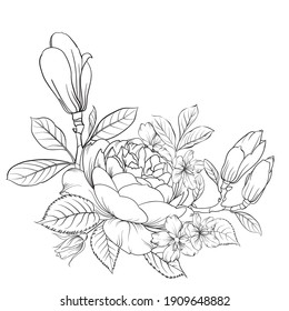 Floral bouquet on white background. Vector illustration