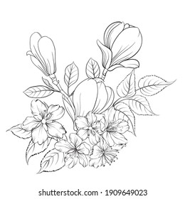 Floral bouquet on white background. Vector illustration