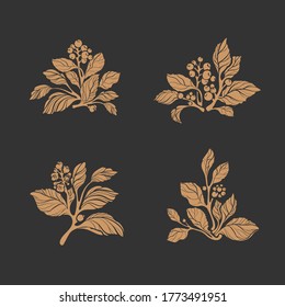 Floral bouquet. Vector set of isolate. Nature symbol, herbal design. Elegance vintage art illustration, texture engraving. Collection of leaves, flower, summer berry