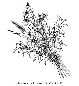 Floral bouquet of wild herbs, flowers and leaves. Black and white hand drawn vector illustration.