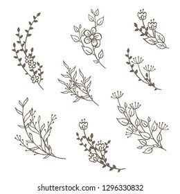 Floral bouquete decorative elements