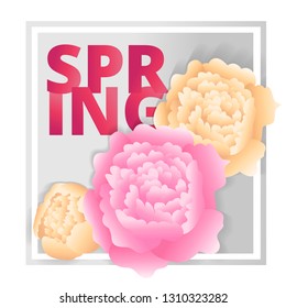 Floral bouquets of pink and white peonies on silver banner. Square cards. Spring floral design. For suggestions and congratulations to the holiday of spring - March 8
