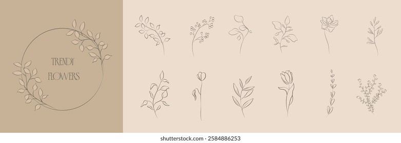 Floral branch. Botanical vector illustration. Hand drawn wedding herb, homeplant with elegant leaves for invitation save the date card design.