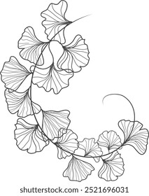 Floral Branch of a Ginko Tree Flower