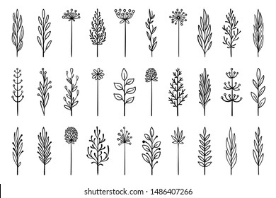 Floral branch in hand drawn style. Outline doodle icons set. Flower line sign. Plant scribble brush collection. Simple sketch wedding design element black contour Vector illustration isolated on white