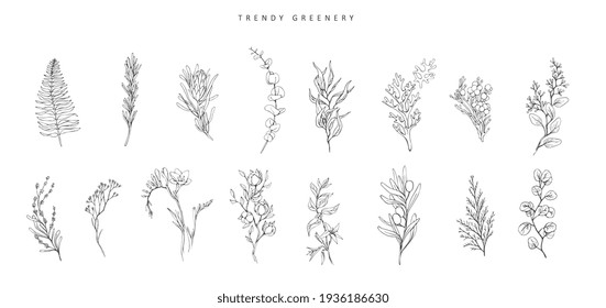 Floral branch. Hand drawn wedding herb, plant and monogram with elegant leaves for invitation save the date card design. Botanical rustic trendy greenery vector - Shutterstock ID 1936186630
