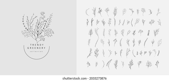 Floral branch. Hand drawn wedding herb, homeplant with elegant leaves for invitation save the date card design. Botanical rustic