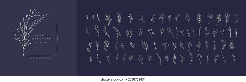 Floral branch. Hand drawn wedding herb, homeplant with elegant leaves for invitation save the date card design. Botanical rustic
