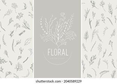 Floral branch. Hand drawn wedding herb, homeplant with elegant leaves for invitation save the date card design. Botanical rustic