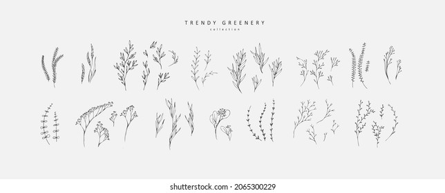 Floral branch. Hand drawn wedding herb, homeplant with elegant leaves for invitation save the date card design. Botanical rustic - Shutterstock ID 2065300229