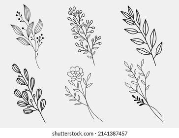 Floral branch. Hand drawn wedding herb, homeplant with elegant leaves for invitation save the date card design. Botanical rustic