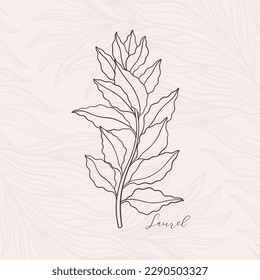 Floral branch laurel in art nouveau 1920-1930. Hand drawn in a linear style with weaves of lines, leaves and flowers. Vector illustration.