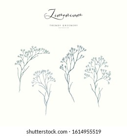 Floral Branch Limonium, Babys Breath. Hand Drawn Wedding Herb, Plant Elegant Leaves For Invitation Save The Date Card Design. Botanical Rustic Trendy Greenery Vector Illustration