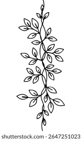 Floral branch line art illustration. Botanical foliage outline nature minimalist design. Wedding invitations greeting cards wall art decoration. Black thin line white background vector