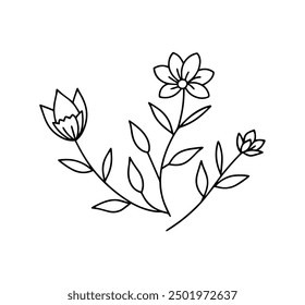 floral branch and minimalist flower vector illustration, hand drawn line wedding herb