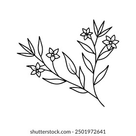 floral branch and minimalist flower vector illustration, hand drawn line wedding herb