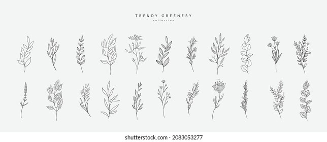 Floral branch and minimalist flowers for logo or tattoo. Hand drawn line wedding herb, elegant leaves for invitation save the date card. Botanical rustic trendy greenery