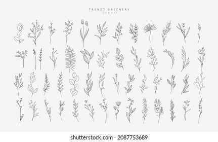 Floral branch and minimalist flowers for logo or tattoo. Hand drawn line wedding herb, elegant leaves for invitation save the date card. Botanical rustic trendy greenery