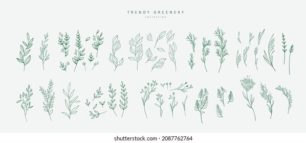 Floral branch and minimalist flowers for logo or tattoo. Hand drawn line wedding herb, elegant leaves for invitation save the date card. Botanical rustic trendy greenery