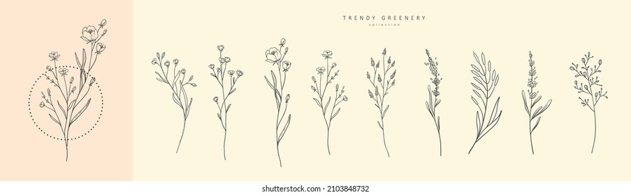 Floral branch and minimalist flowers for logo or tattoo. Hand drawn line wedding herb, elegant leaves for invitation save the date card. Botanical rustic trendy greenery