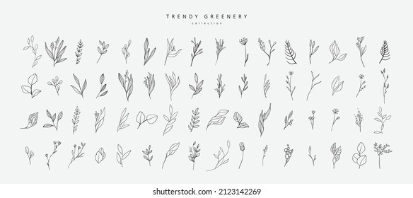 Floral branch and minimalist flowers for logo or tattoo. Hand drawn line wedding herb, elegant leaves for invitation save the date card. Botanical rustic trendy greenery