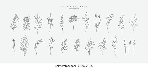 Floral branch and minimalist flowers for logo or tattoo. Hand drawn line wedding herb, elegant leaves for invitation save the date card. Botanical rustic trendy greenery