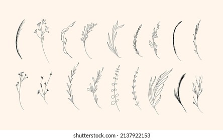 Floral branch and minimalist flowers for logo or tattoo. Hand drawn line wedding herb, elegant leaves for invitation save the date card. Botanical rustic trendy greenery