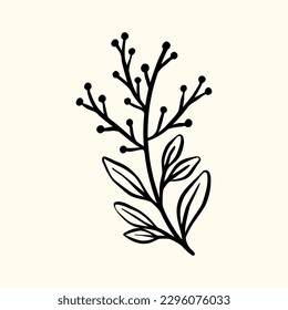 Floral branch and minimalist flowers for logo or tattoo. Hand drawn line wedding herb, elegant leaves for invitation save the date card. Botanical rustic trendy greenery