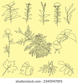 Floral branch and minimalist flowers for logo or tattoo. Vector one line.