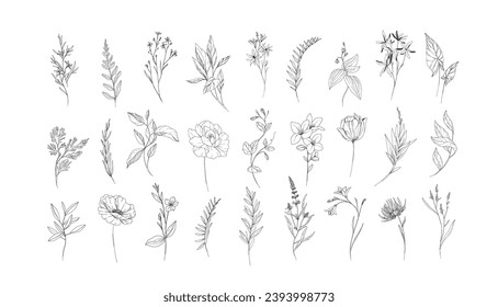 Floral branch and minimalist flowers for logo or tattoo. Hand drawn line wedding herb, elegant leaves for invitation save the date card. Botanical rustic trendy greenery - Shutterstock ID 2393998773