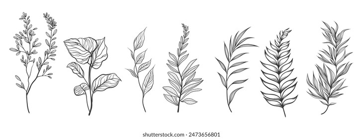 Floral branch and minimalist leaves. Hand drawn line wedding herb, elegant wildflowers. Minimal line art drawing for print, cover or wallpaper