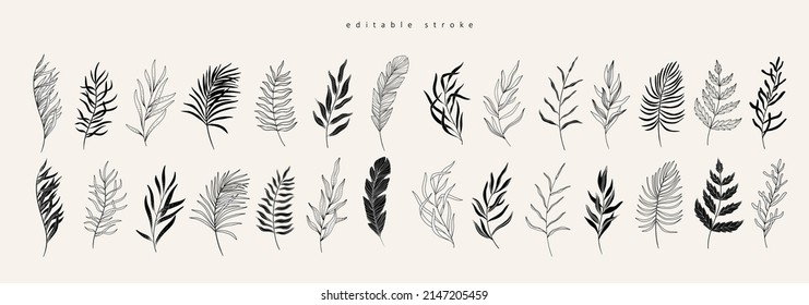 Floral branch and minimalist leaves for logo or tattoo. Hand drawn line wedding herb, elegant wildflowers for invitation save the date card. Botanical rustic trendy greenery vector