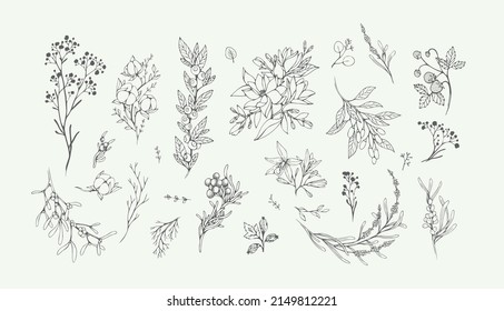 Floral branch and minimalist leaves for logo or tattoo. Hand drawn line wedding herb, elegant wildflowers for invitation save the date card. Botanical rustic trendy greenery vector