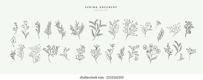 Floral branch and minimalist leaves for logo or tattoo. Hand drawn line wedding herb, elegant wildflowers for invitation save the date card. Botanical rustic trendy greenery