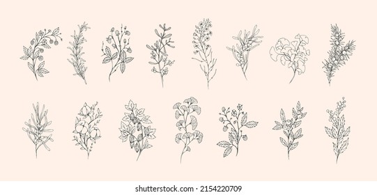 Floral branch and minimalist leaves for logo or tattoo. Hand drawn line wedding herb, elegant wildflowers for invitation save the date card. Botanical rustic trendy greenery vector