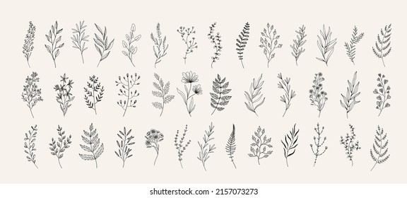 Floral branch and minimalist leaves for logo or tattoo. Hand drawn line wedding herb, elegant wildflowers. Minimal line art drawing for print, cover or wallpaper
