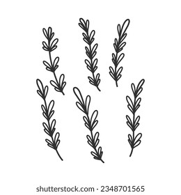 Rama floral y hojas minimalistas para logotipo o tatuaje. Hierba de bodas dibujada a mano, flores silvestres elegantes. Dibujo de líneas mínimas para impresión, cubierta o papel pintado