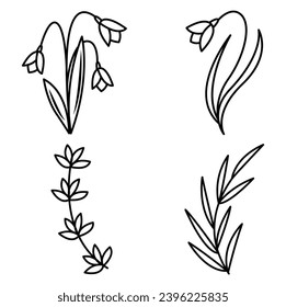 Floral branch and minimalist leaves for logo or tattoo. Hand drawn line wedding herb, elegant wildflowers. Minimal line art drawing for print, cover or wallpaper