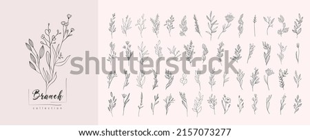 Floral branch and minimalist leaves for logo or tattoo. Hand drawn line wedding herb, elegant wildflowers. Minimal line art drawing for print, cover or wallpaper Foto stock © 