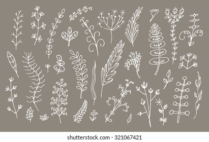 Floral branch pattern