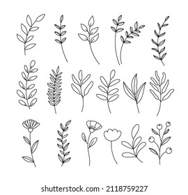 Floral branch set. Hand drawn with leaves and flowers on white background.